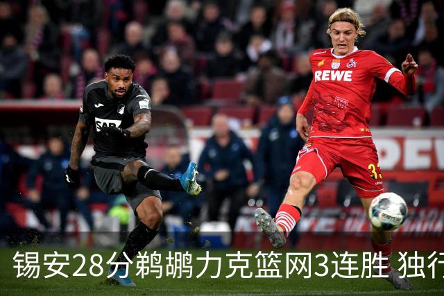 锡安28分鹈鹕力克篮网3连胜 独行侠险胜马刺